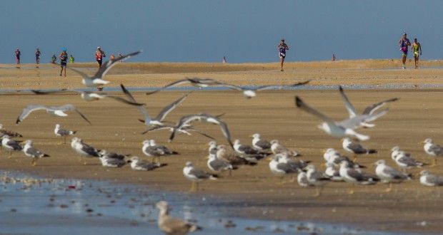 Máximo respeto al medio ambiente en el Desafio Doñana en Andalucía