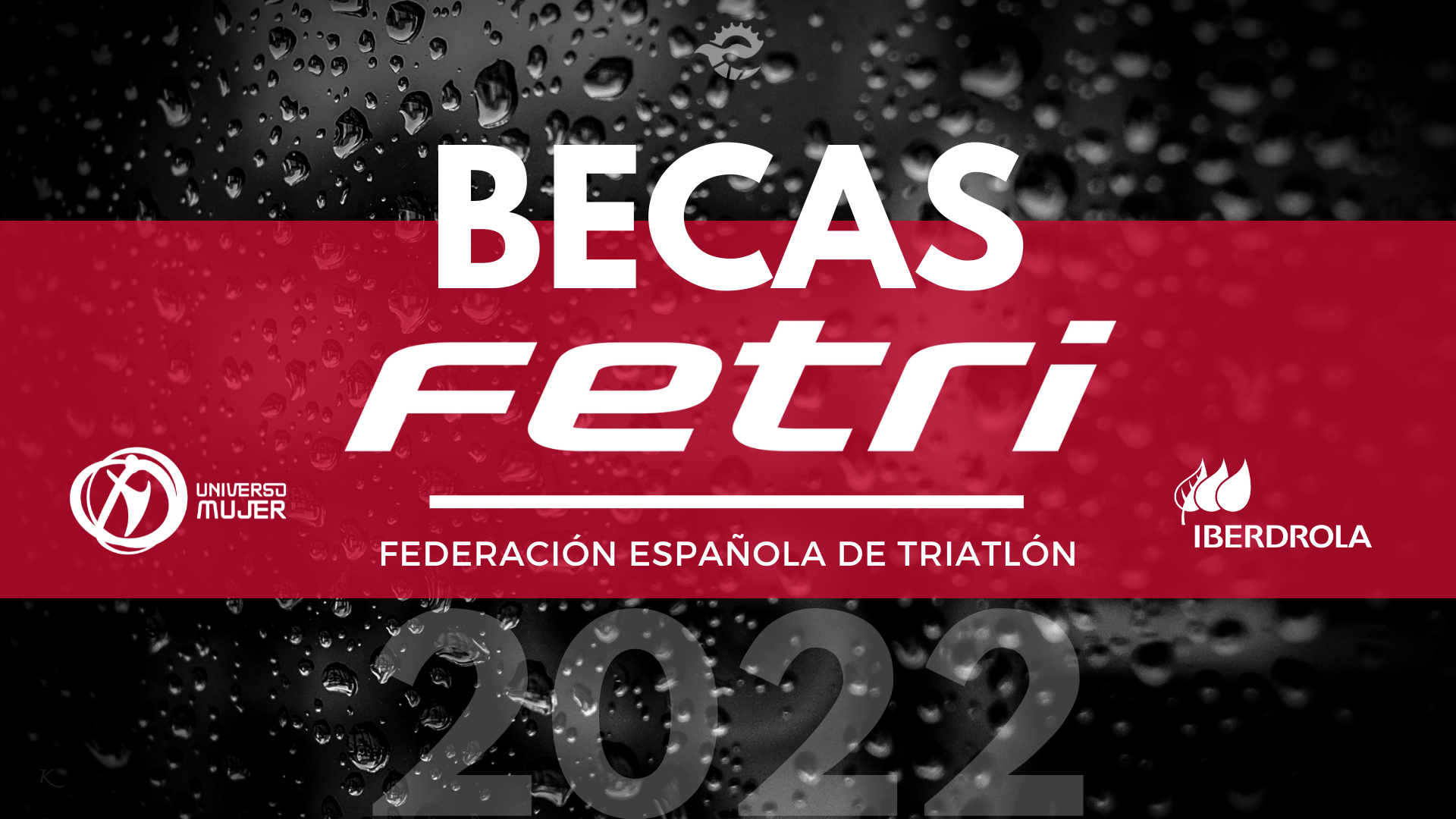 Resolución de las Ayudas FETRI-Universo Mujer 2022
