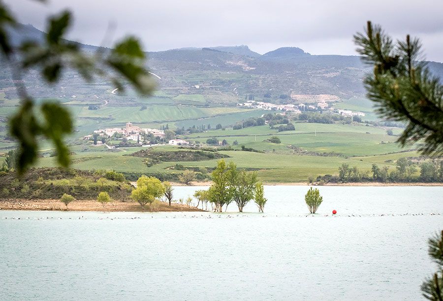 Los campeonatos de España de Triatlón y Aquabike MD 2024 en el Half Triathlon Pamplona-Iruña estrenarán la primera bandera azul de Navarra