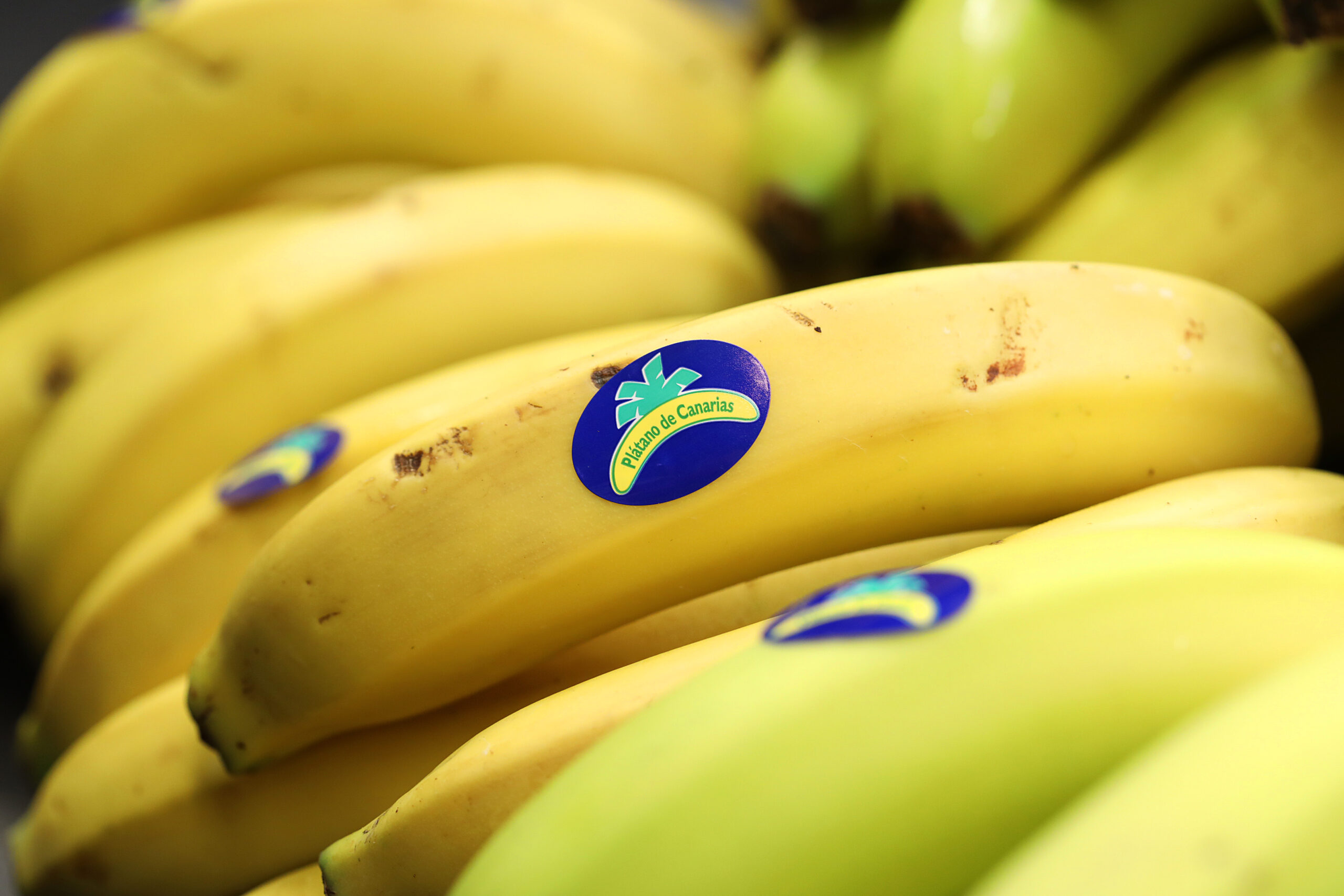 Plátano de Canarias se une a la élite mundial del Triatlón como patrocinador oficial de la Final del Campeonato del Mundo Torremolinos-Andalucía 2024