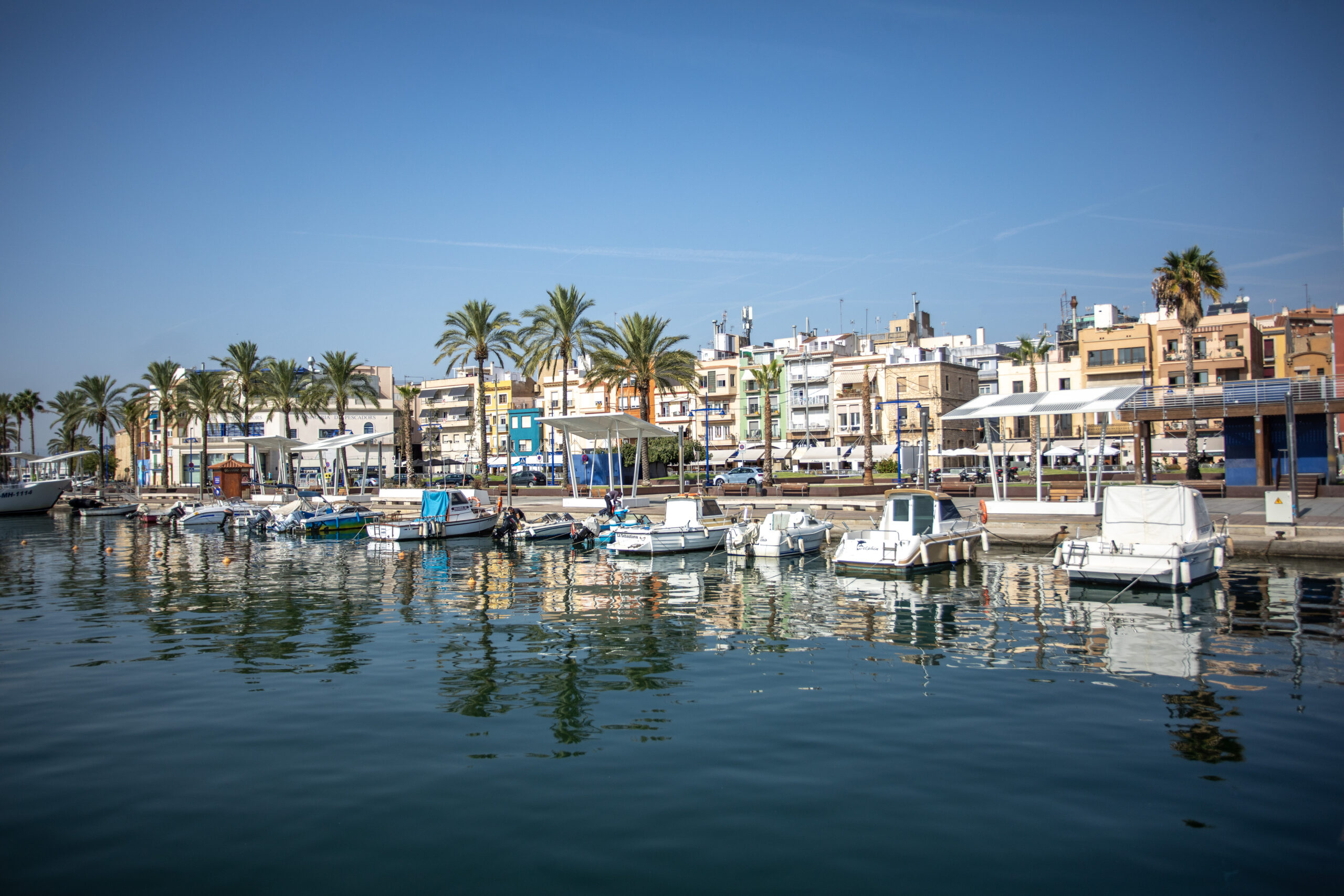 Comienza la cuenta atrás para el Campeonato de Europa de Triatlón de Tarragona 2026