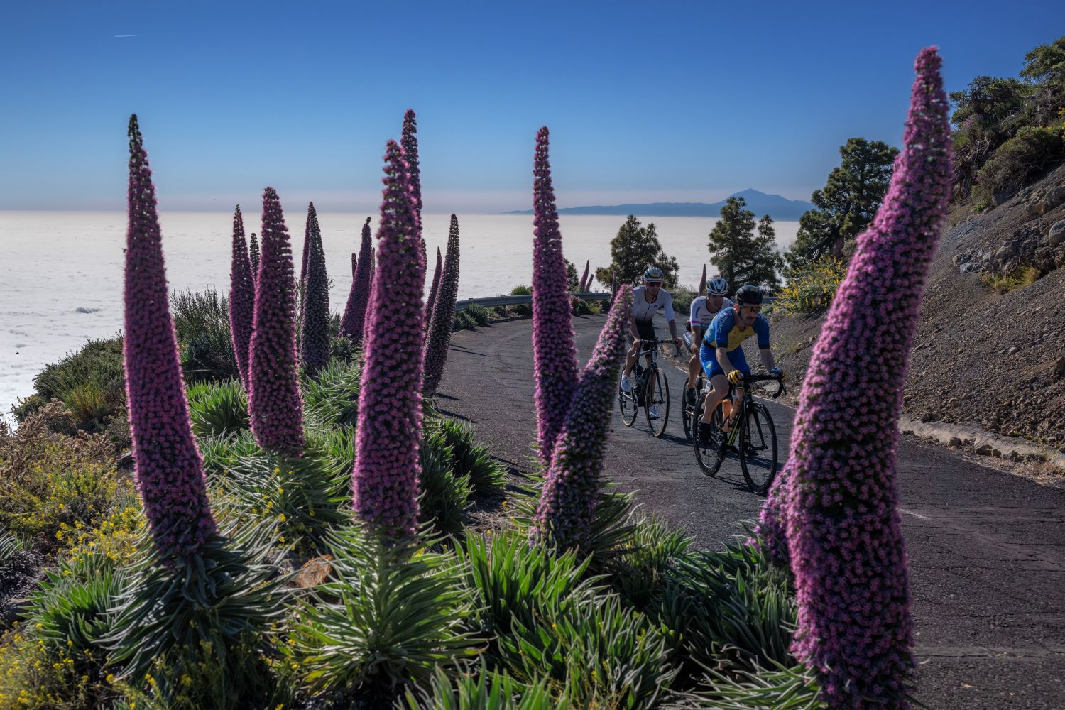 El KOS Xtreme Triathlon celebra este sábado su quinta edición
